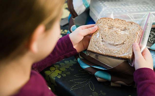 Zipper Seal Sandwich Bags Custom Printed