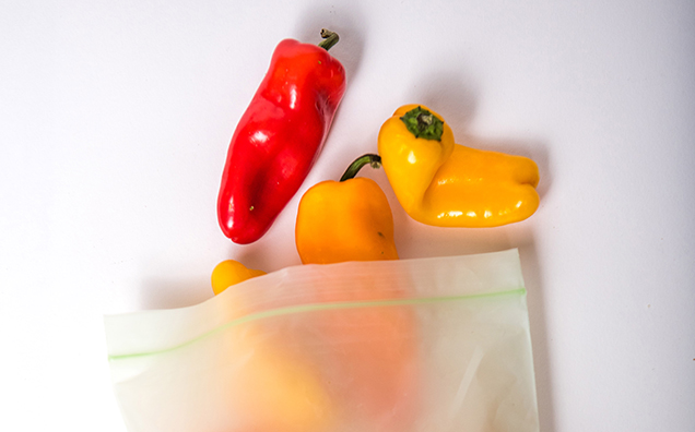 Compostable PVC Zipper Bag