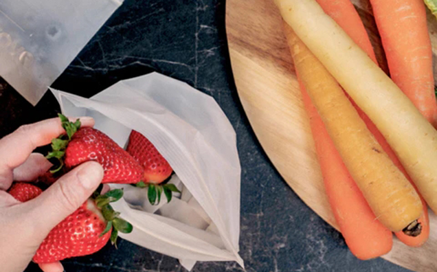 Compostable Zipper Bags