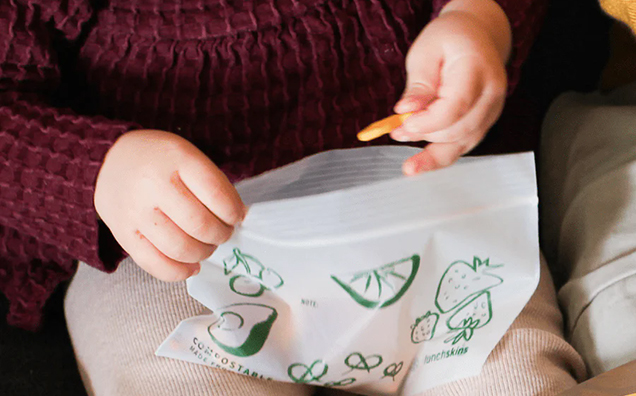 Kid-Friendly Zipper Seal Snack Bags